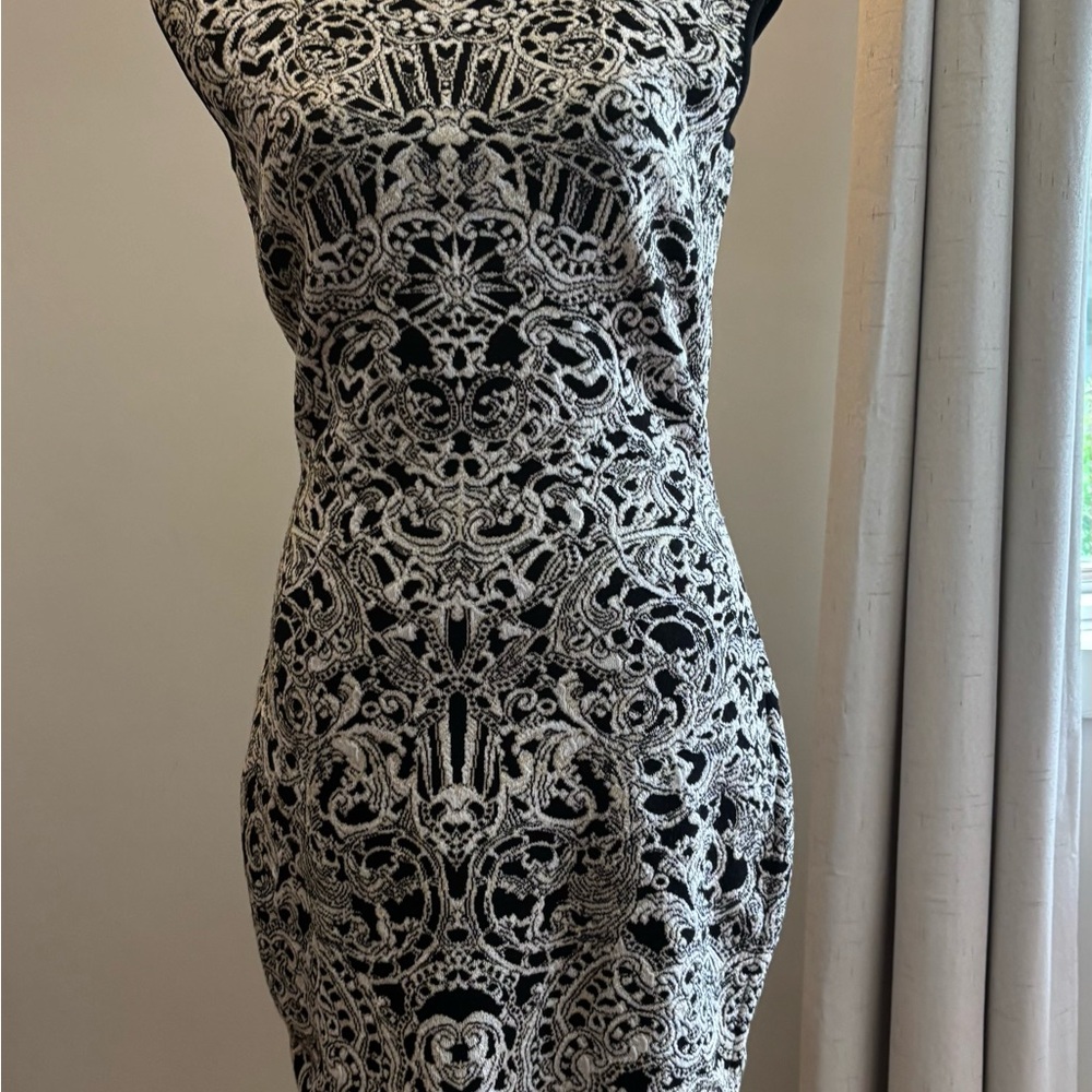 Alexander McQueen Black and White Sheath Dress